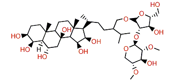 Culcitoside C3